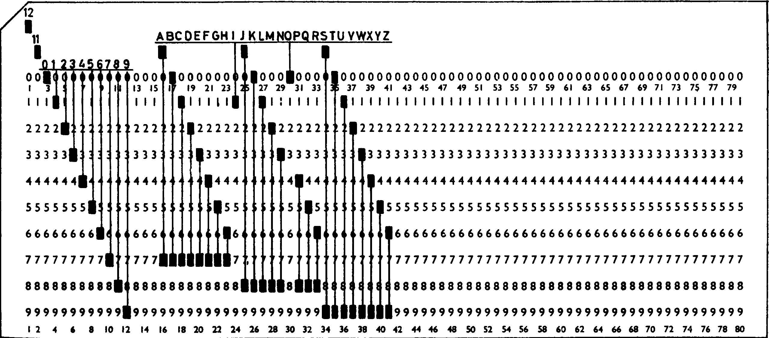 Bull Code